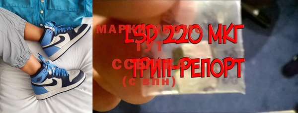 стаф Абинск