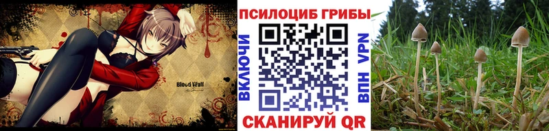 mega зеркало  Староминская  Галлюциногенные грибы Cubensis  цена  
